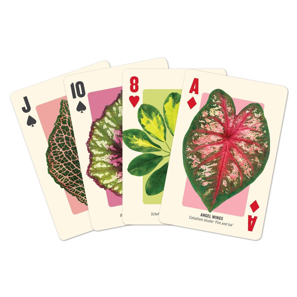 Houseplant Jungle Playing Card Set Detail