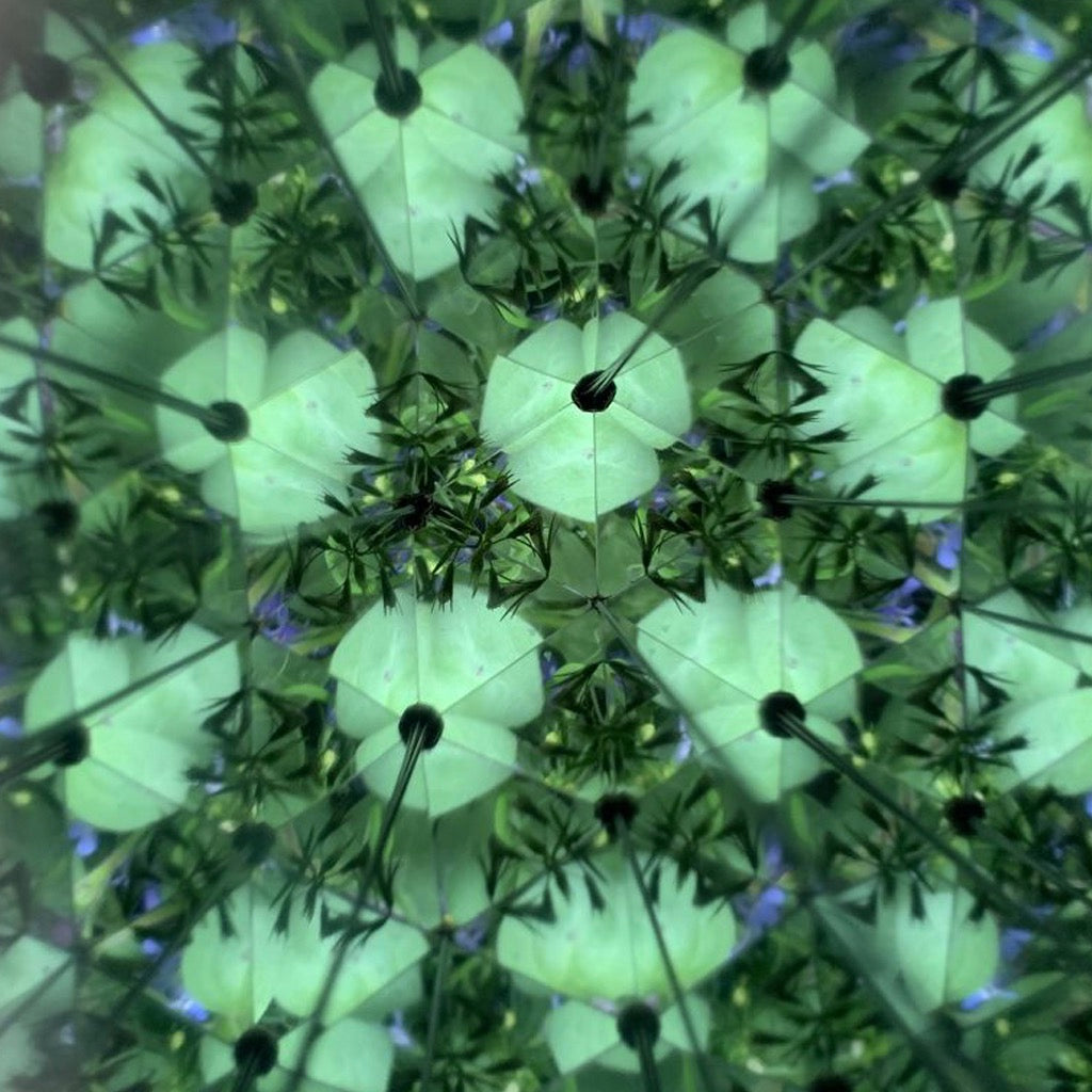 Huckleberry Kaleidoscope Example