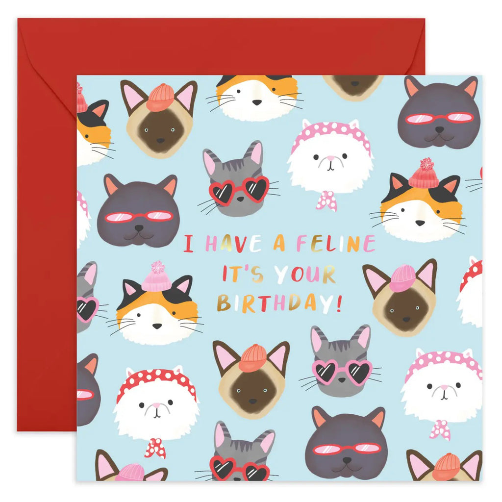 I Have a Feline Birthday Card.