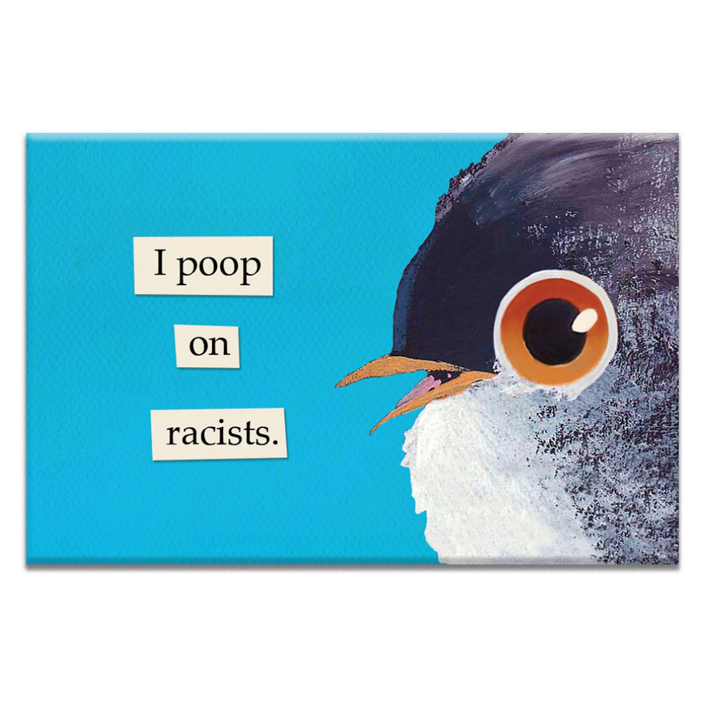 I Poop On Racists Magnet