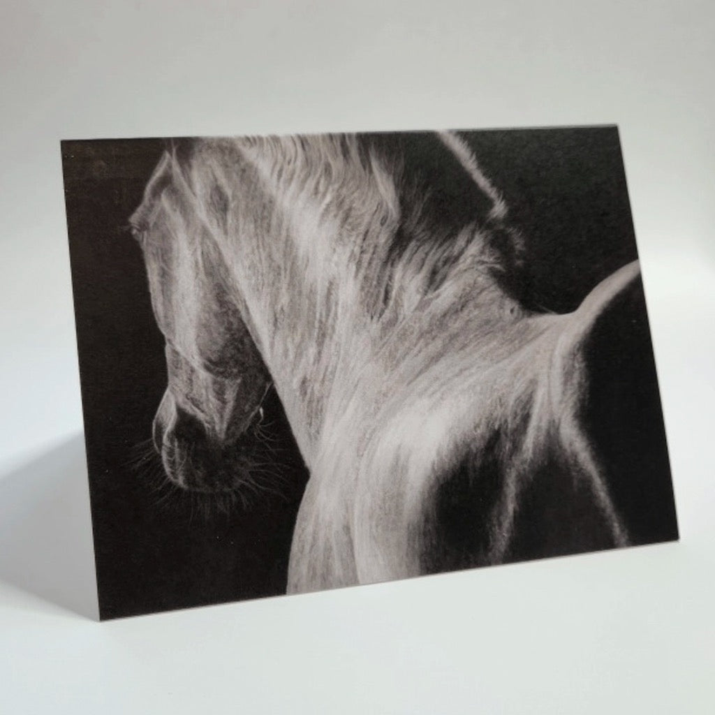 'In the Rising Darkness' Horse Blank Card.
