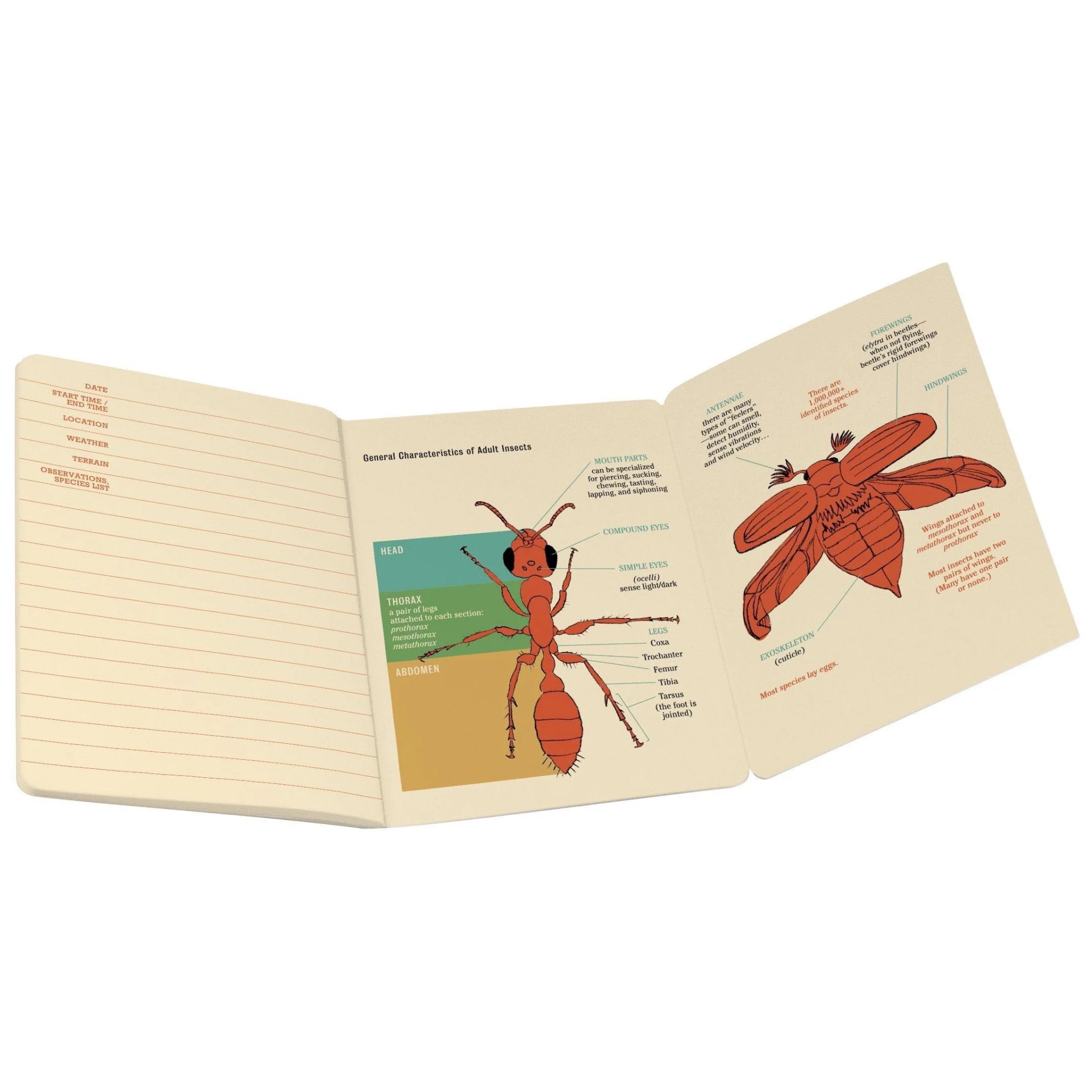 Insect (Entomology) Notebook | Unemployed Philosophers Guild – Outer Layer