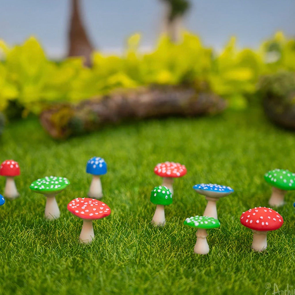 Itty Bitty Mushrooms on grass.