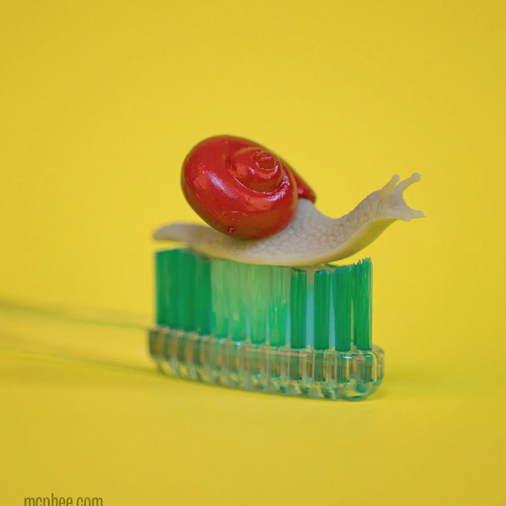 Itty Bitty Snails closed.