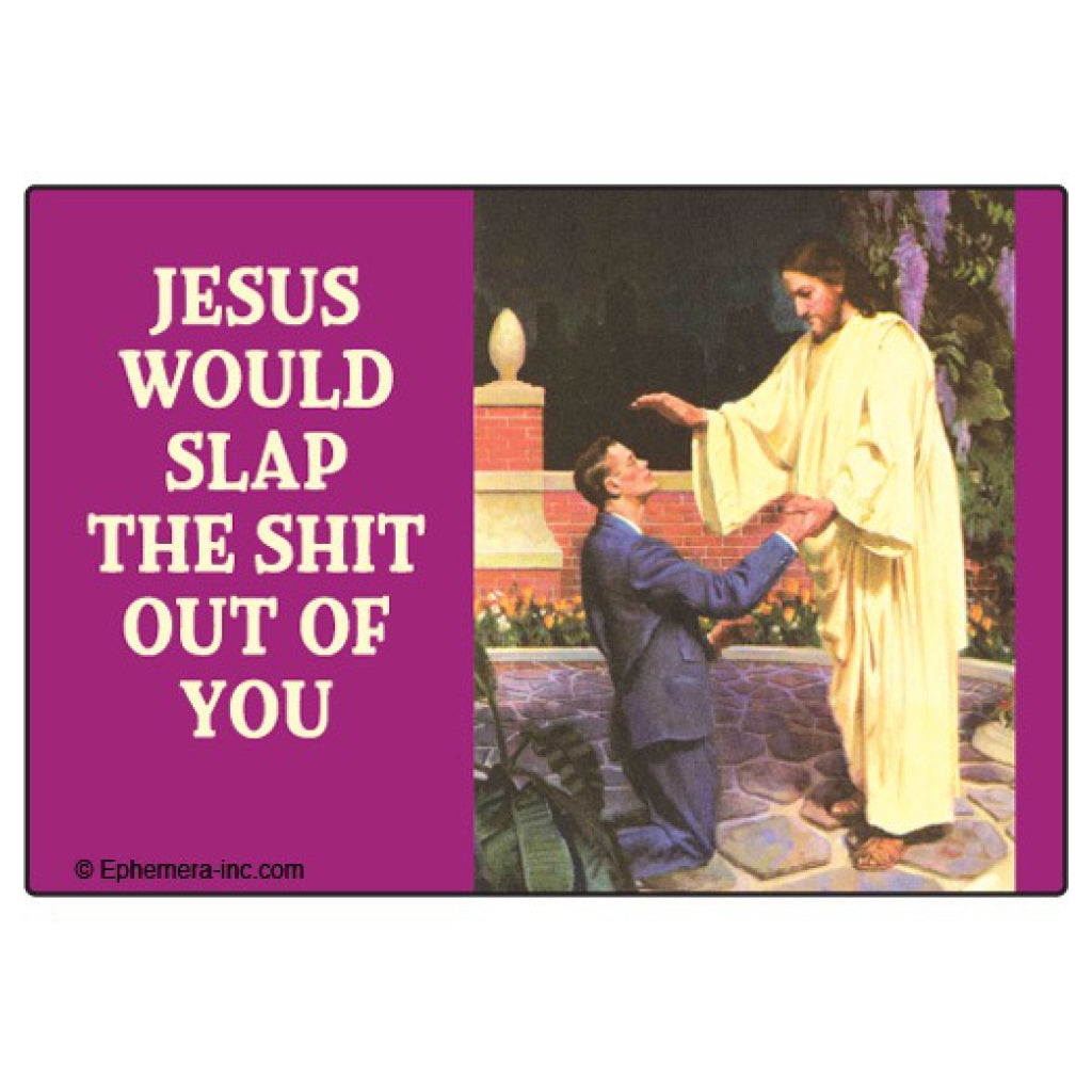 Jesus Would Slap You Magnet.