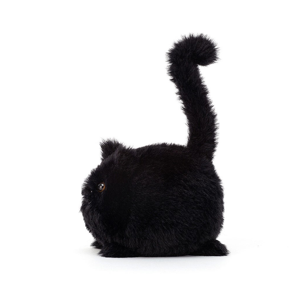 Kitten Caboodle Black Side