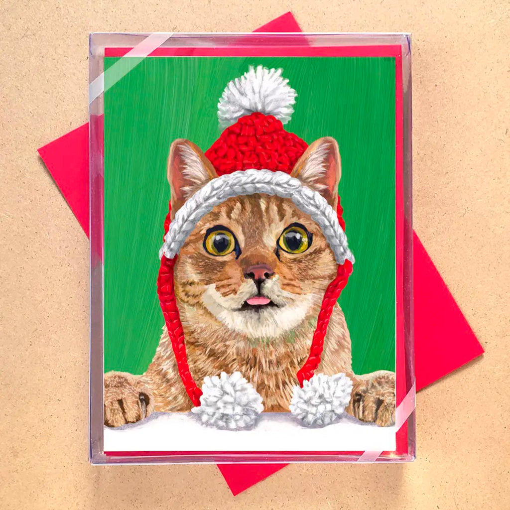 Kitten with Knit Cap Boxed Holiday Cards packaging.