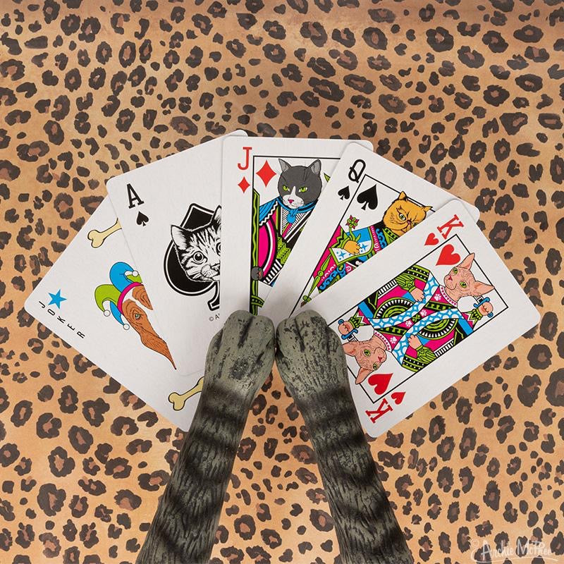 Kitty Playing Cards Lifestyle