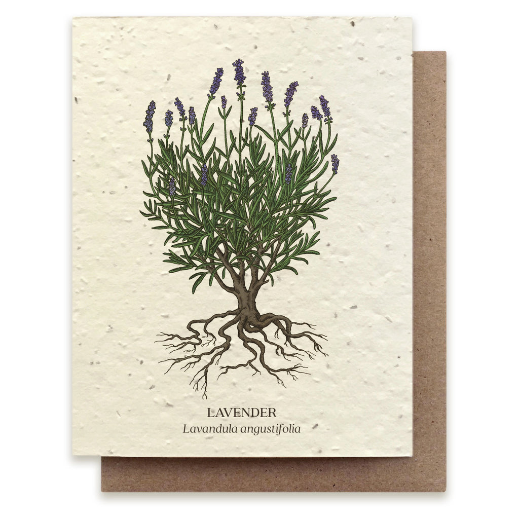 Lavender Seed Paper Card