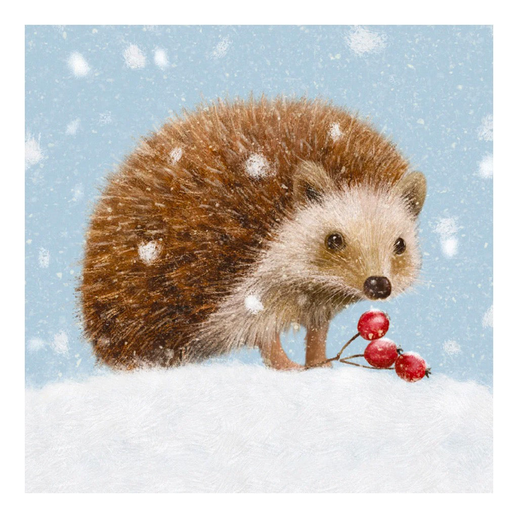 Little Hedgehog Pack Of Holiday Cards.