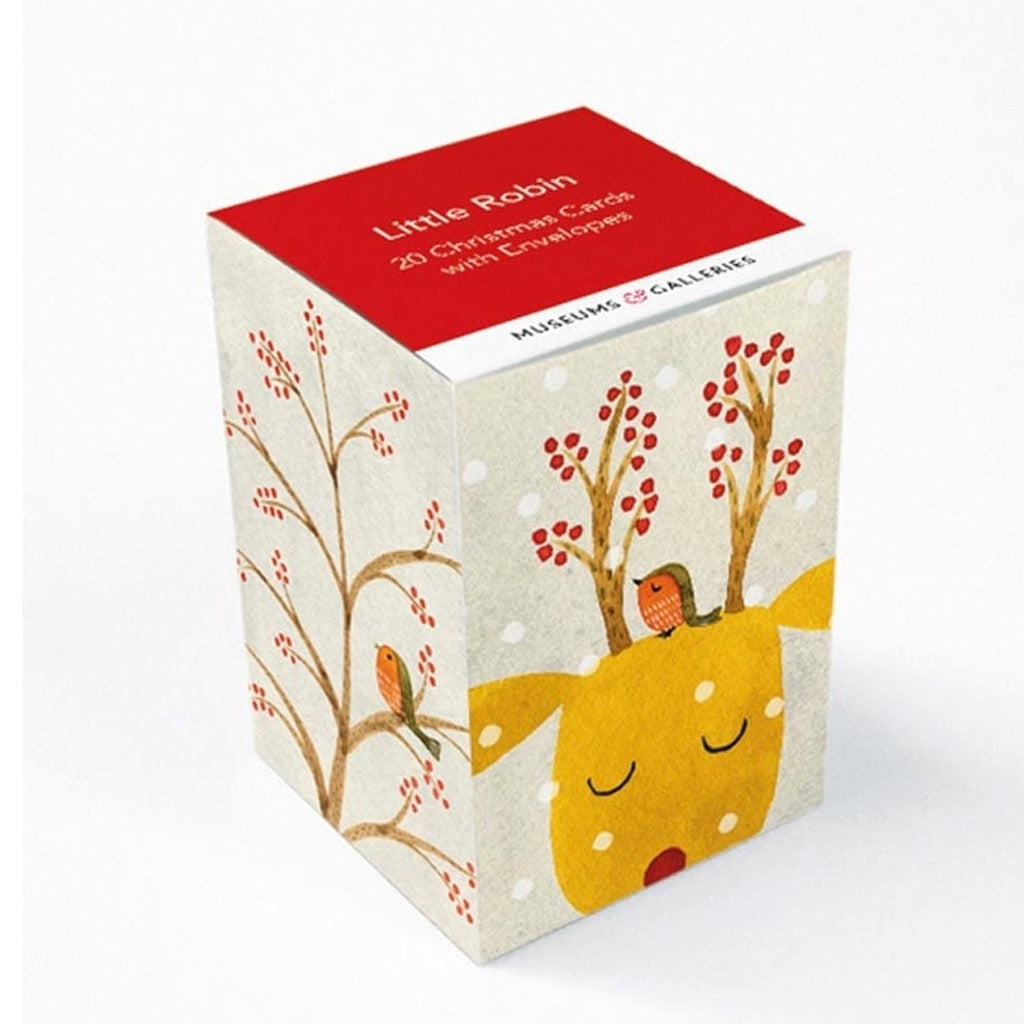 Little Robin Mini Cube Christmas Cards
