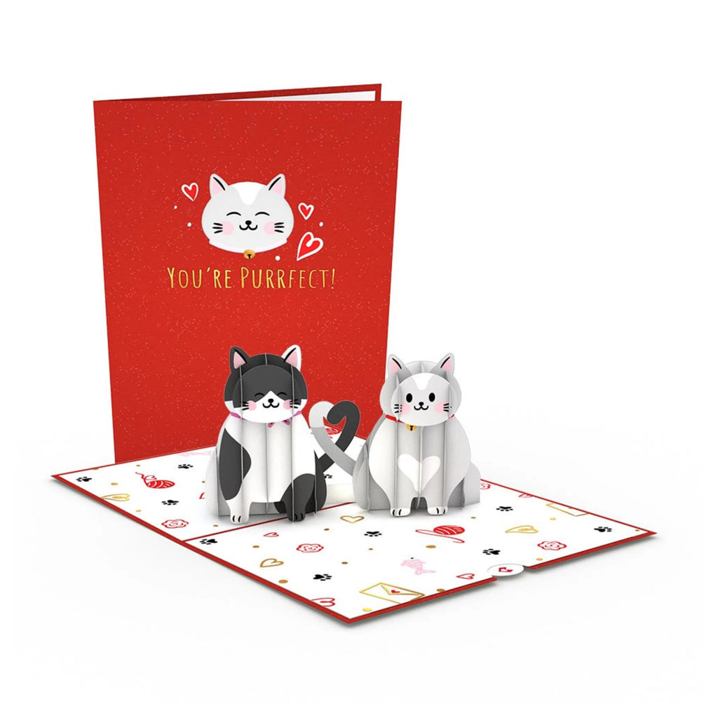 Love Cats Pop Up Card Front