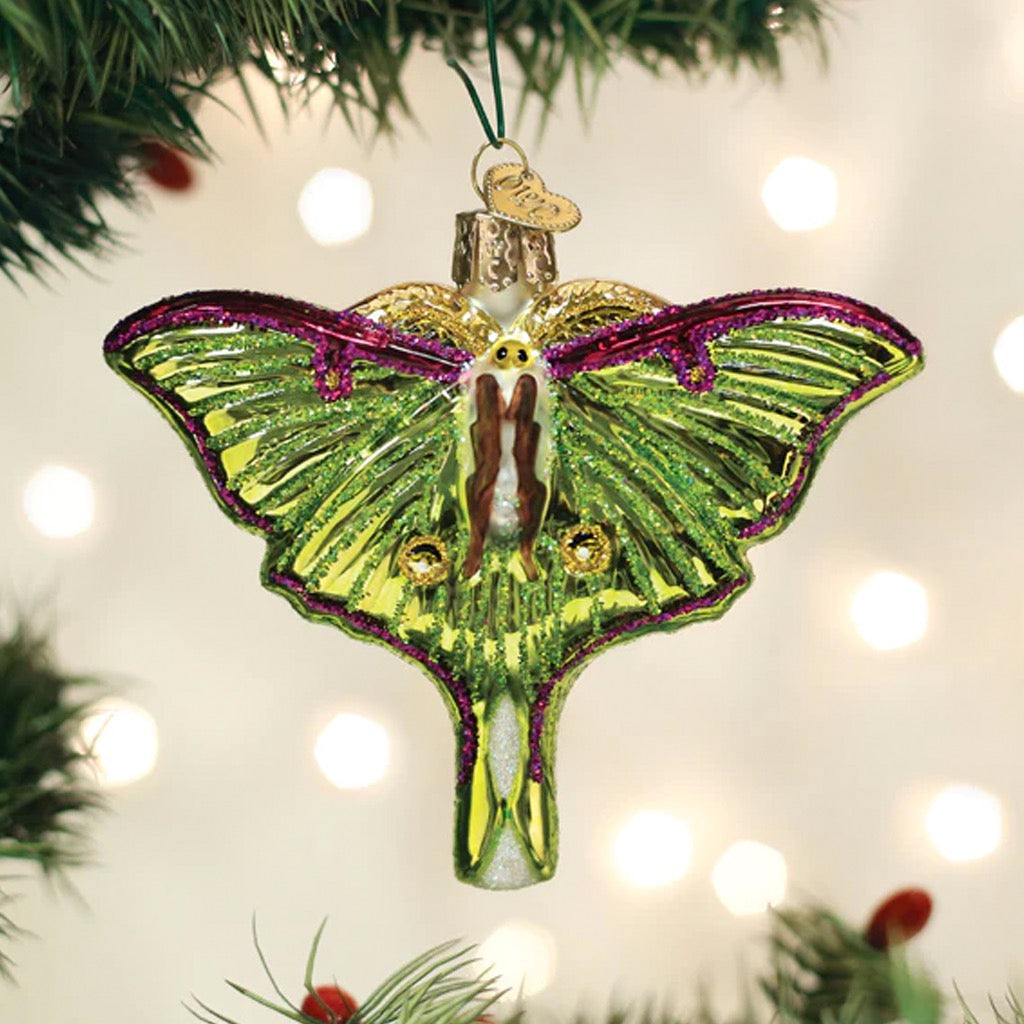 Luna Moth Ornament in tree.