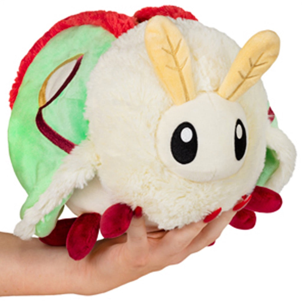 Luna moth plush.