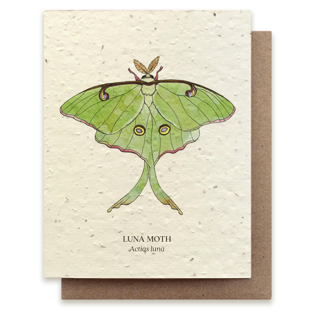 Luna Moth Seed Paper Card