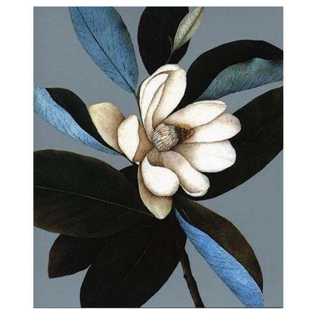 Magnolia Blue Blank Card.