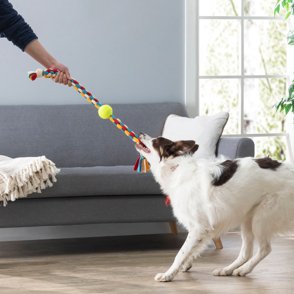 Make Your Own Tug Toy Action