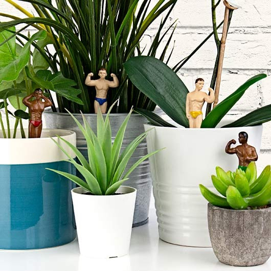 Mini Plant Pot Hunks Lifestyle