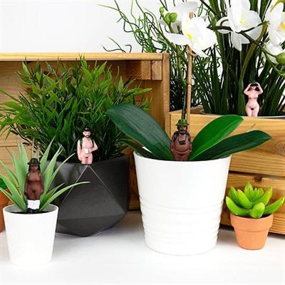 Mini Plant Pot Naked Ramblers Lifestyle