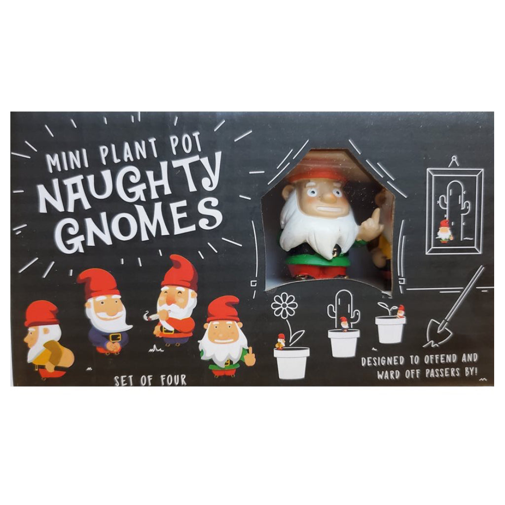 Mini Plant Pot Naughty Gnomes Packaging