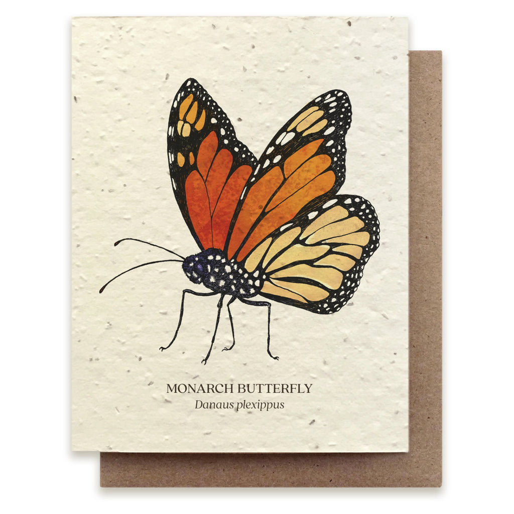 Monarch Butterfly Seed Paper Card