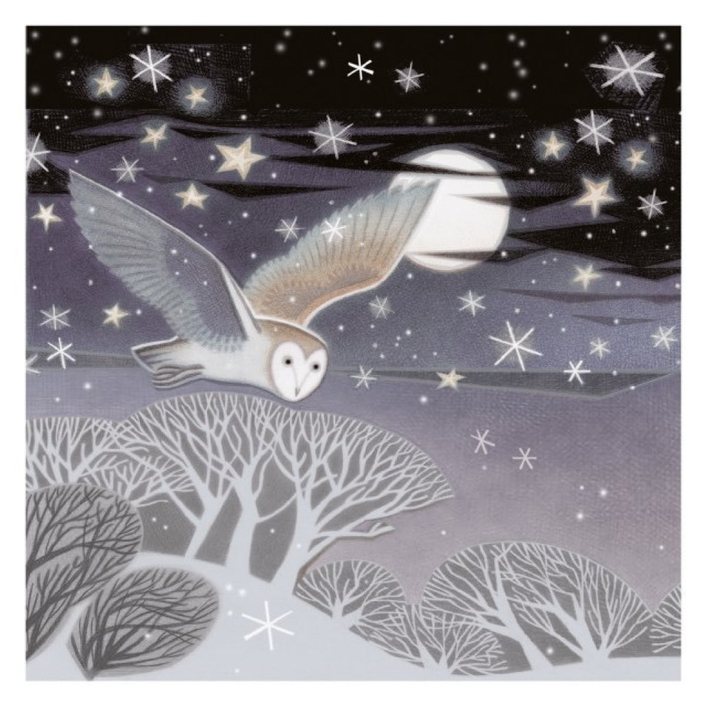 Moonlit Flight Owls Pack Of Holiday Cards.