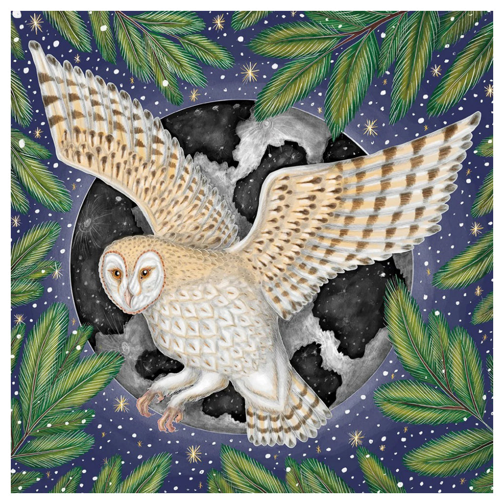 Moonlit Flying Owl Cello Pack of Holiday Cards