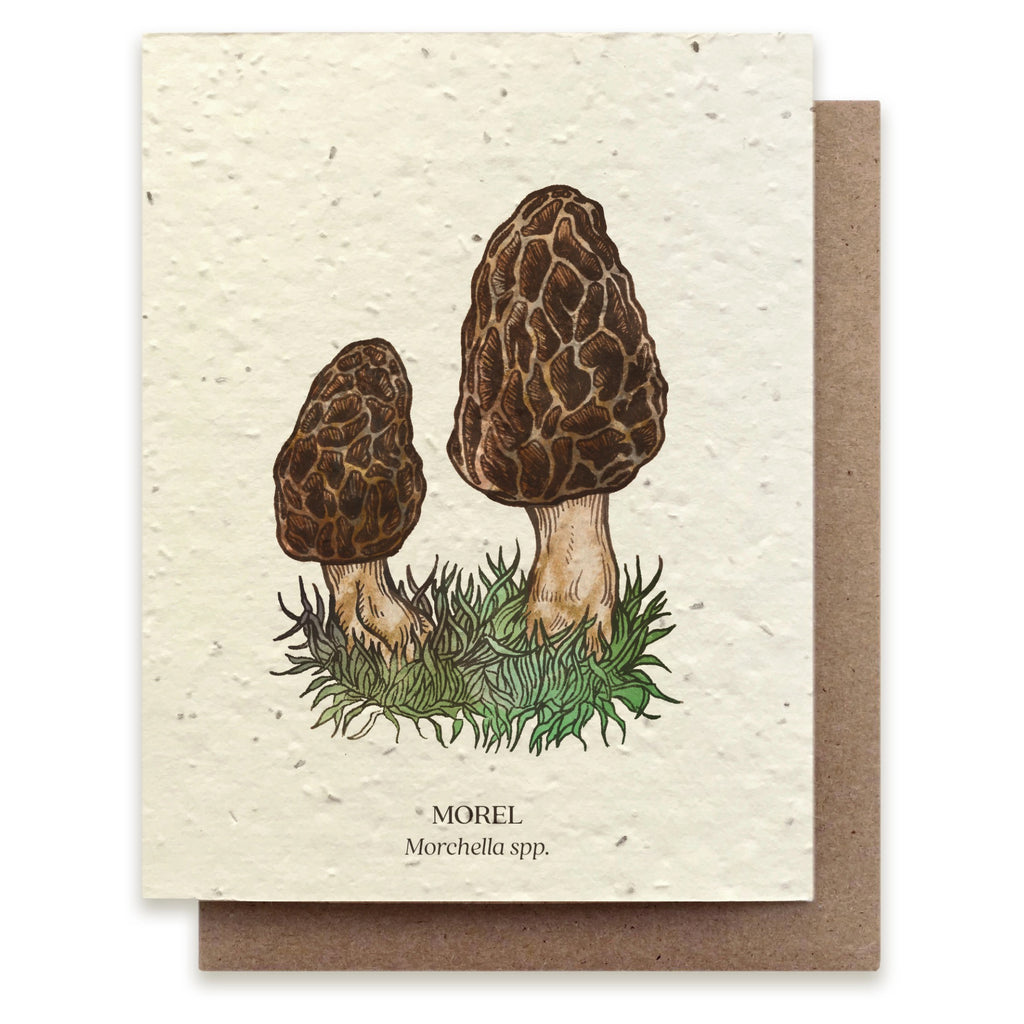 Morel Mushroom Seed Paper Card