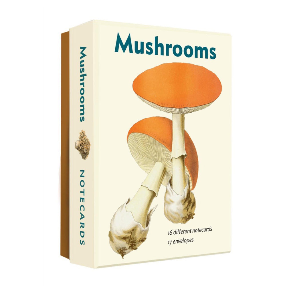 Mushrooms Notecard Set