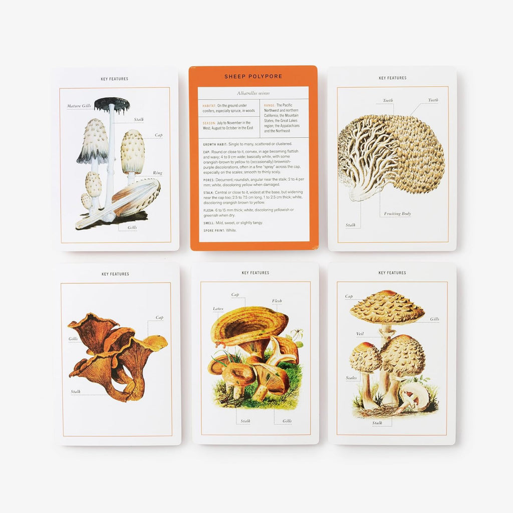 New York Botanical Garden Mushroom Identification Flashcards cards.