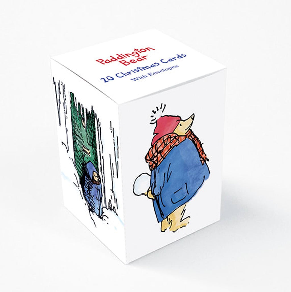 Paddington Bear Cube Box Holiday Cards
