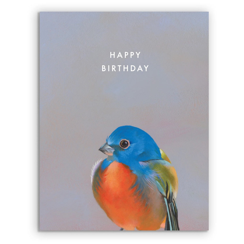 Painted Bunting Bird Birthday Card.