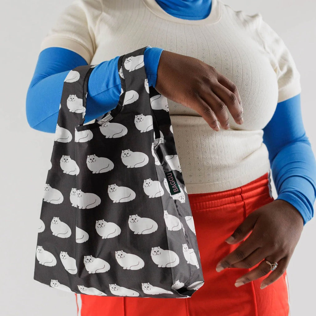 Person holding Baby Baggu White Cat on Black.