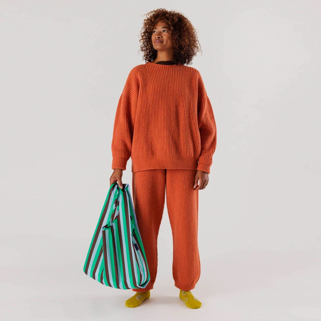 Person holding Standard Baggu Mint 90s Stripe.