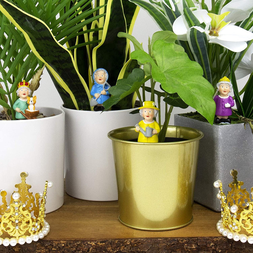 Plant Pot Mini Royals Lifestyle