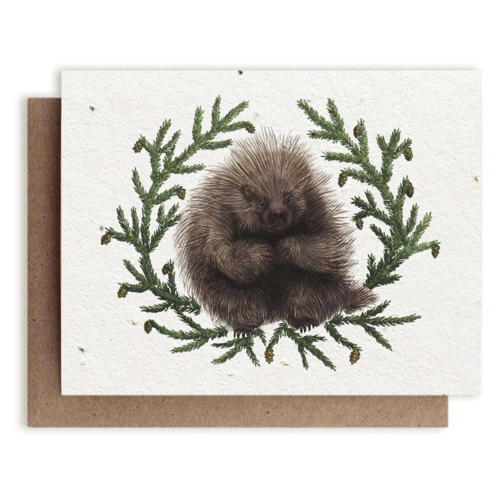 Porcupine  Hemlock Seed Paper Card