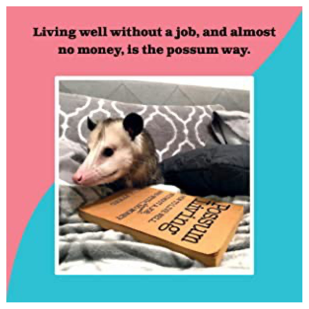 Possums Are Not Cute page with possum on couch.