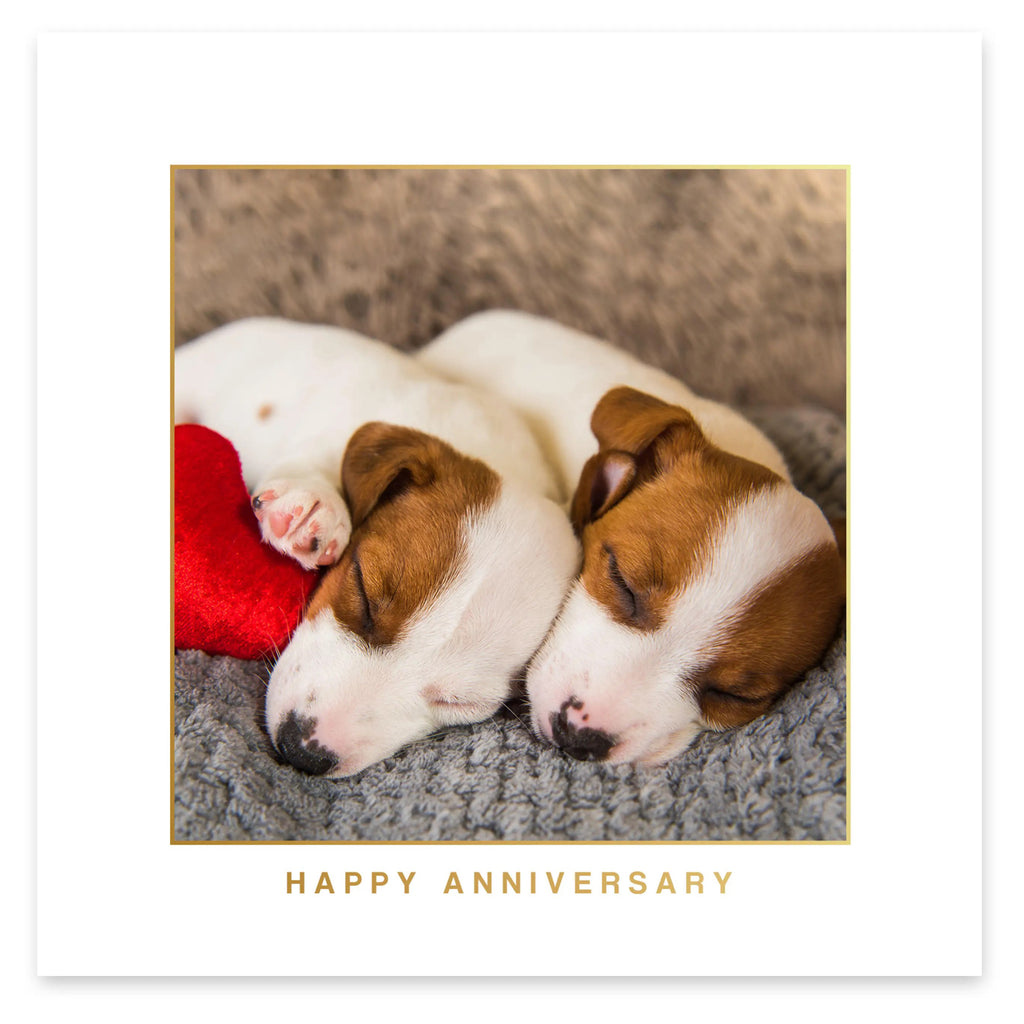 Puppies in Anniversary Love Card