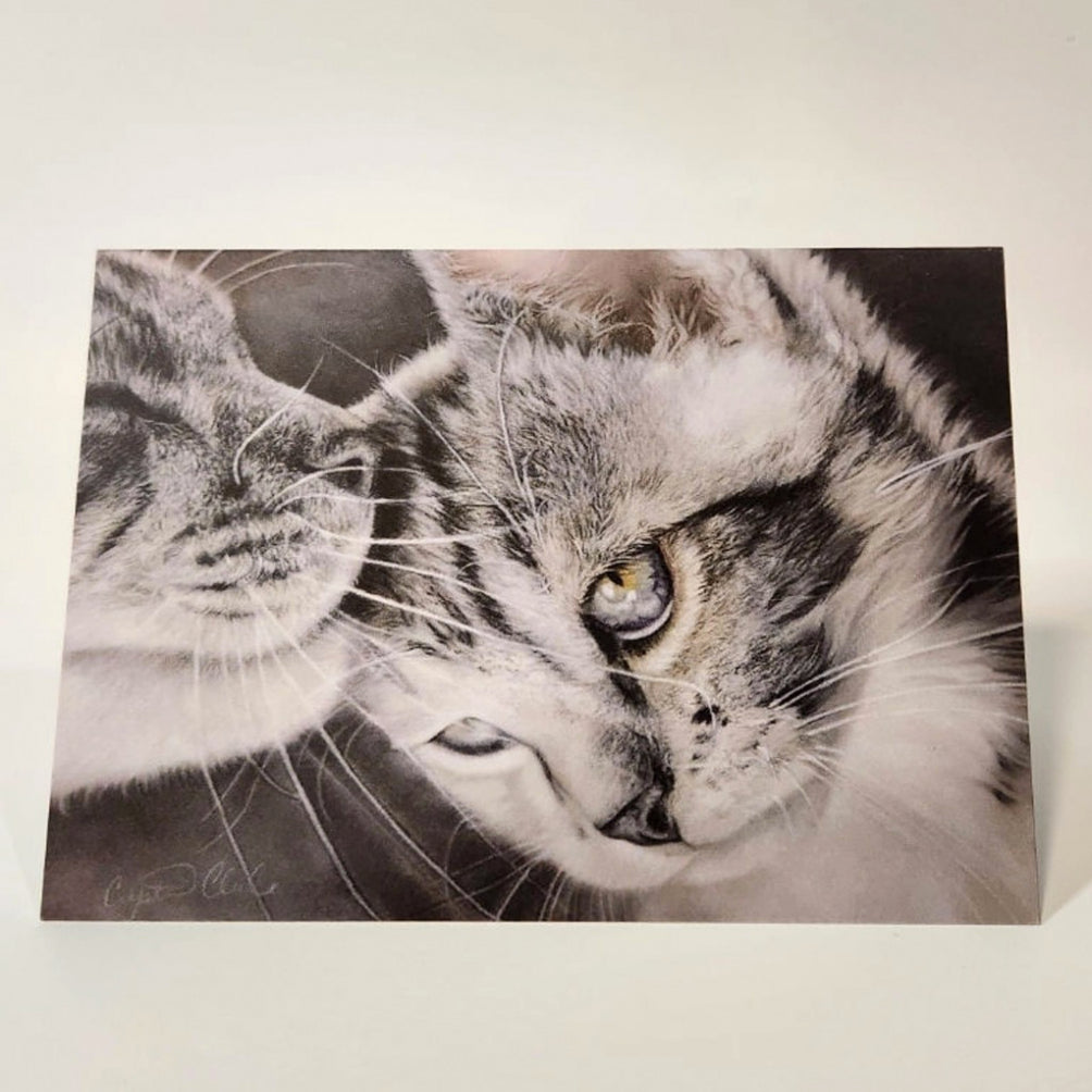'Quiet Love' Kitten Card.