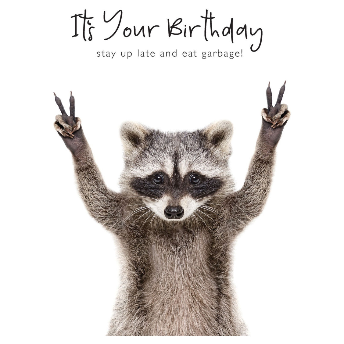 Raccoon Eat Garbage Birthday Card | Portfolio Cards – Outer Layer