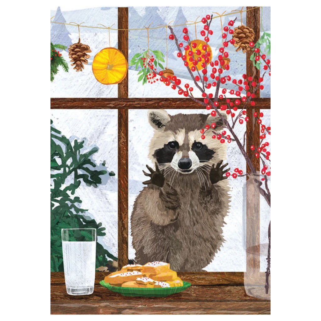 Raccoon In Window Boxed Holiday Cards