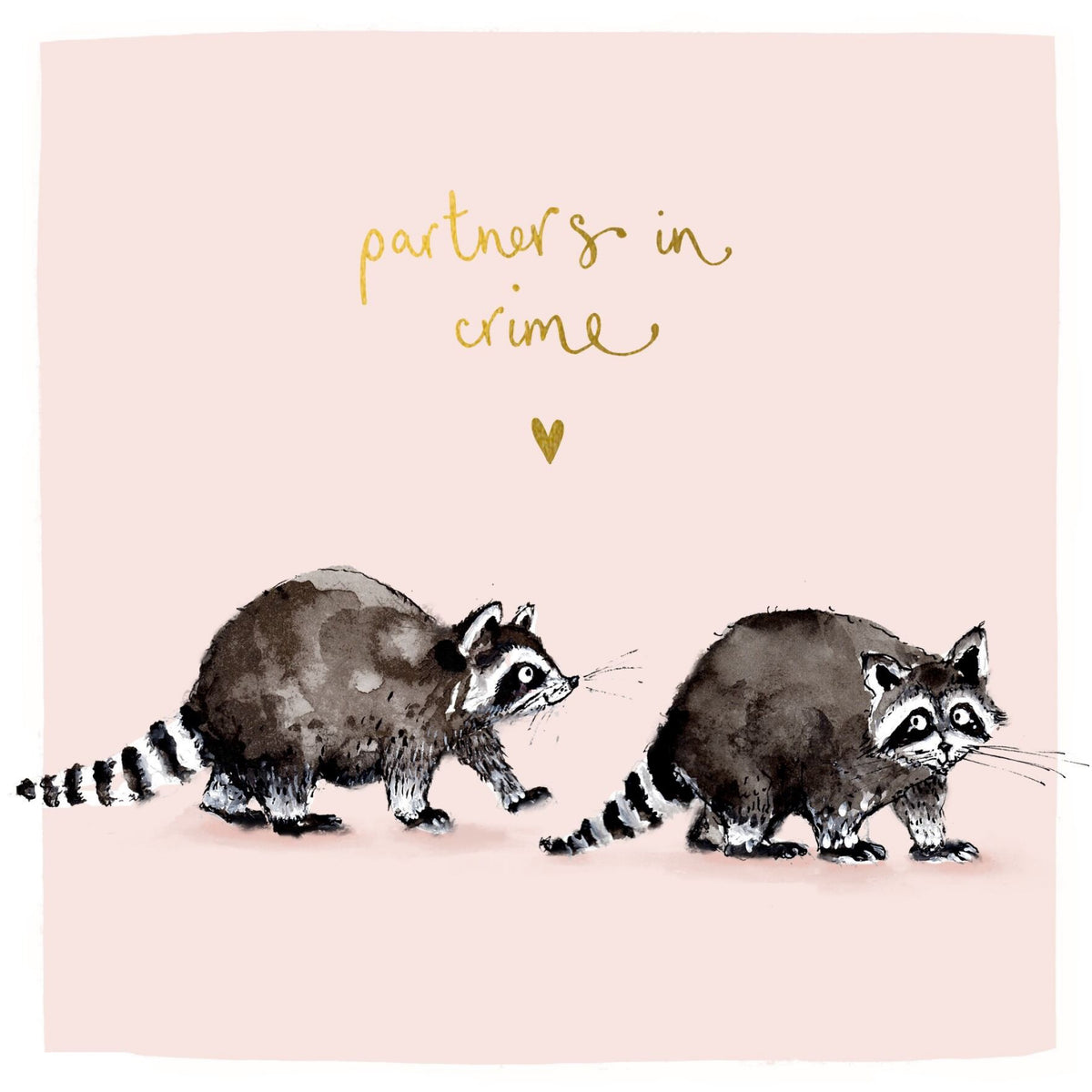 Raccoons Partners In Crime Card | Louise Mulgrew – Outer Layer