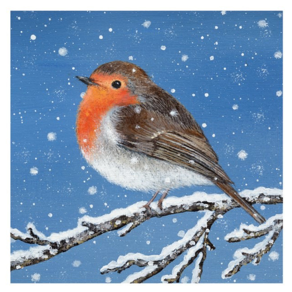 Robin On Branch Holiday Cello Pack of Cards