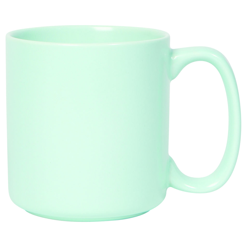 Robins Egg Matte Mug