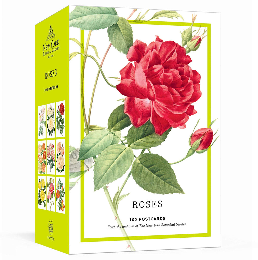 Roses Box of 100 Postcards