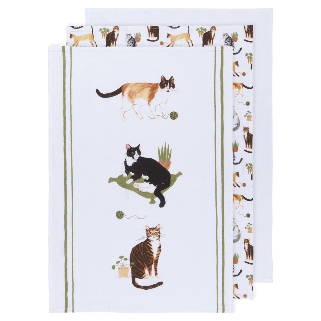 Set of three cat collective floursack dishtowels.