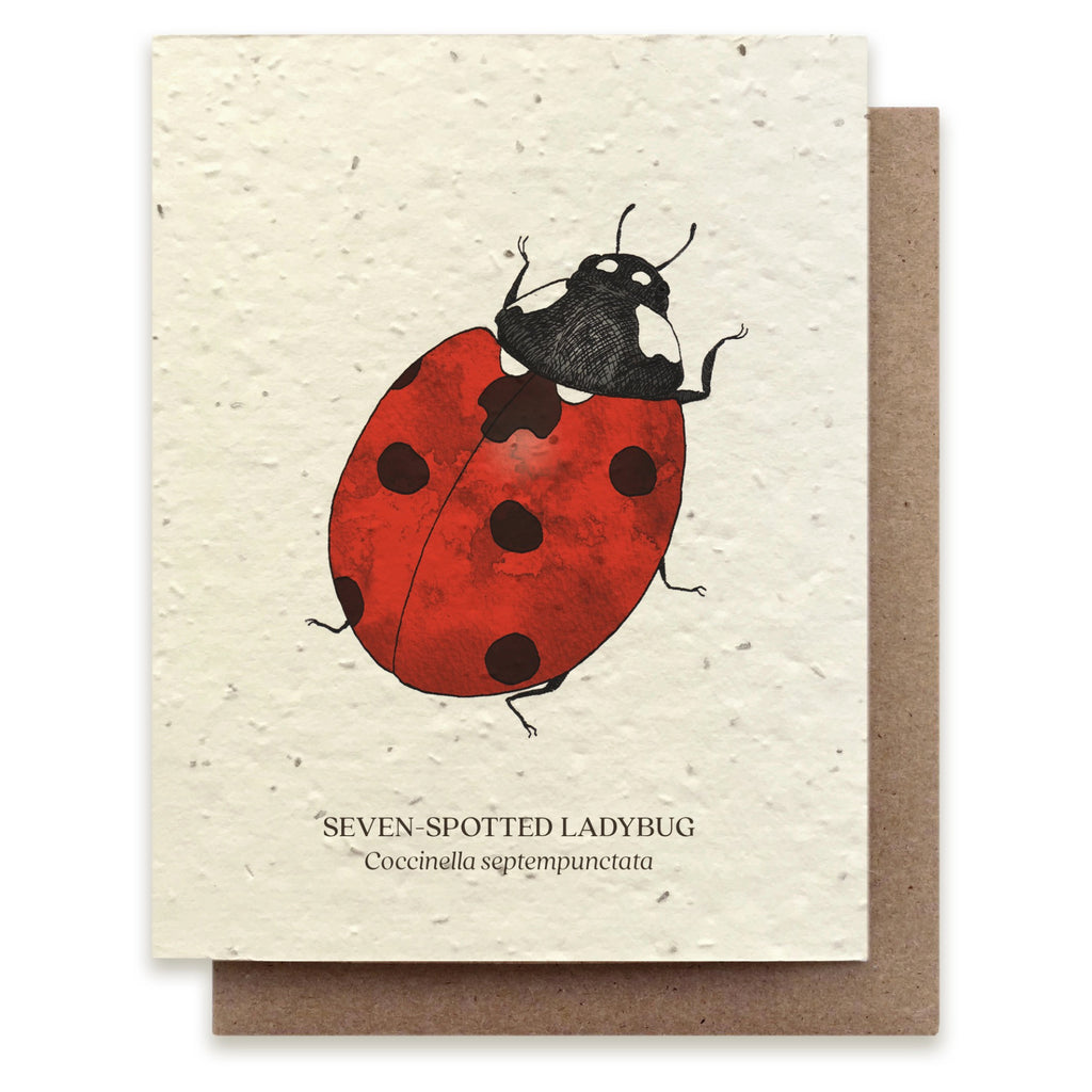 Seven-Spotted Ladybug Seed Paper Card