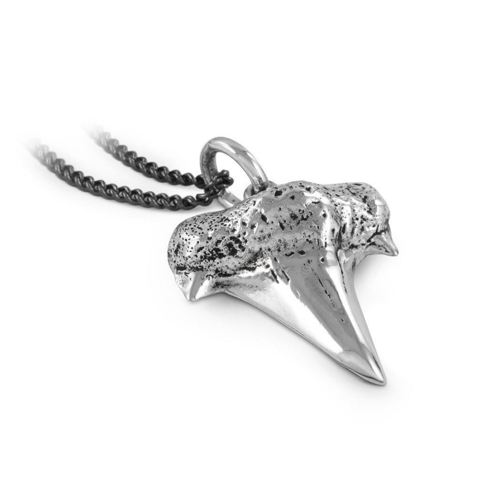 Shark Tooth Necklace Silver Closeup