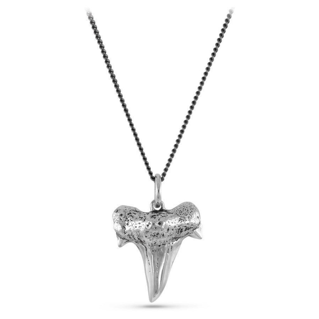 Shark Tooth Necklace Silver