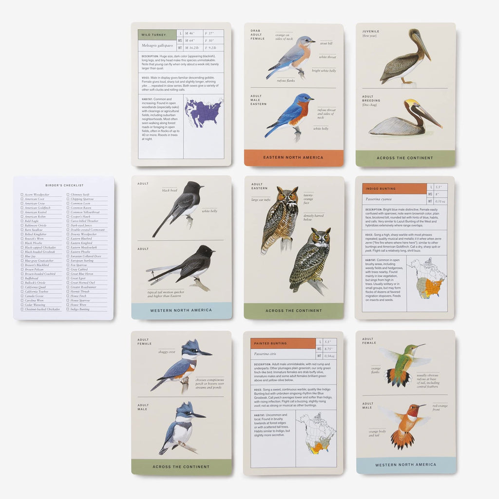 Sibley Backyard Birding Flashcards inside.